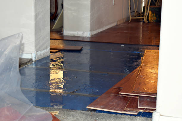 Professional Basement Flood Cleanup technician working in Edwardsville, IL